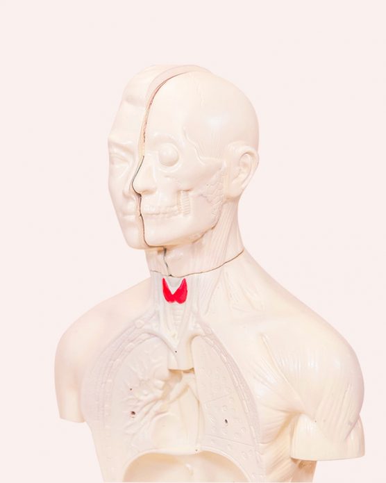 Cas client Le chef d&rsquo;orchestre du corps